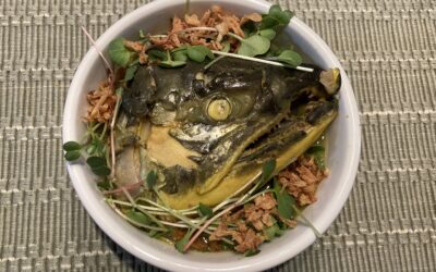 Celebrating Summer Salmon Runs: Southeast Asia/Alaska Inspired Fish Head Soup